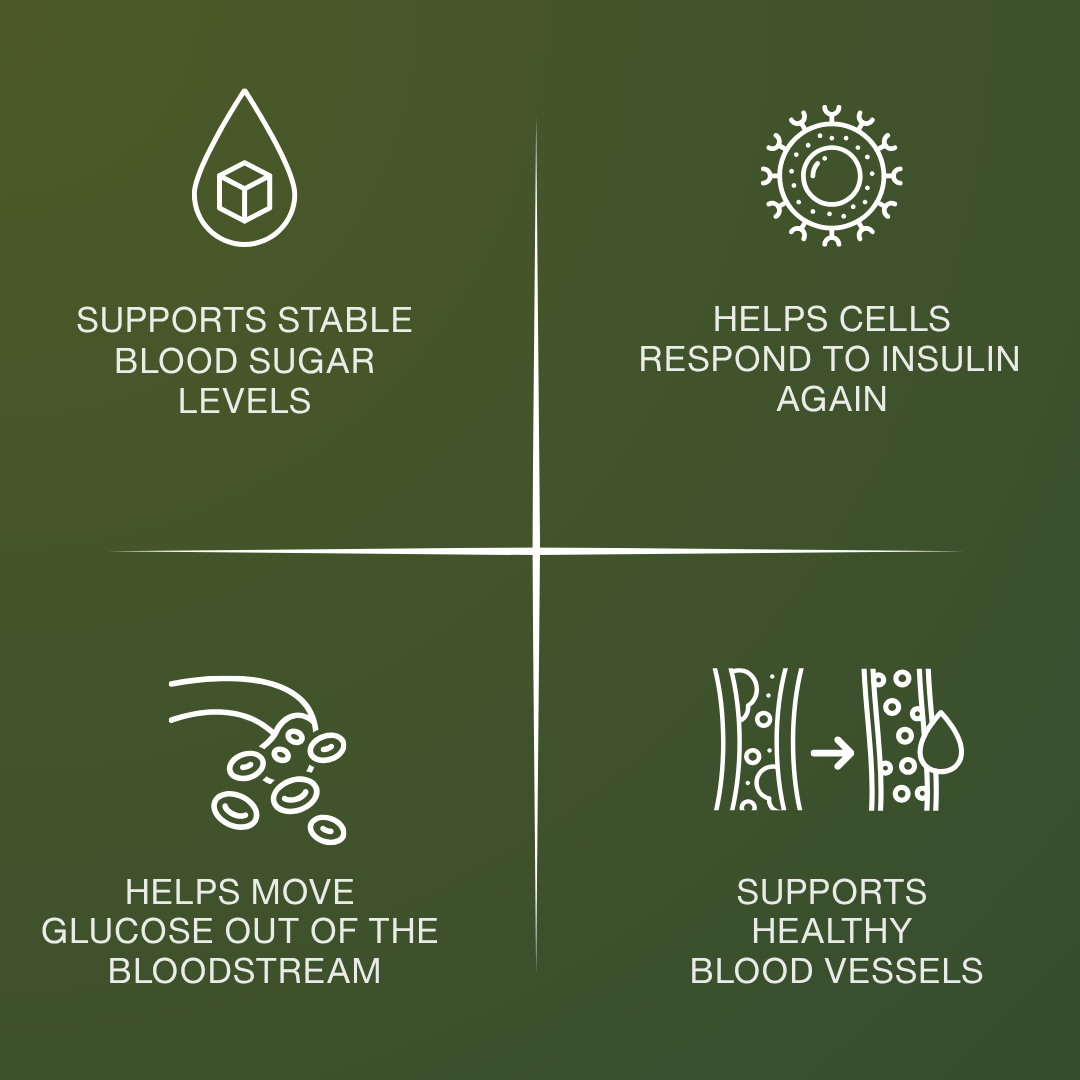 Stable Blood Sugar, More Energy, Less Cravings — Holy Basil Seed Capsules | Herbal Blood Sugar Support