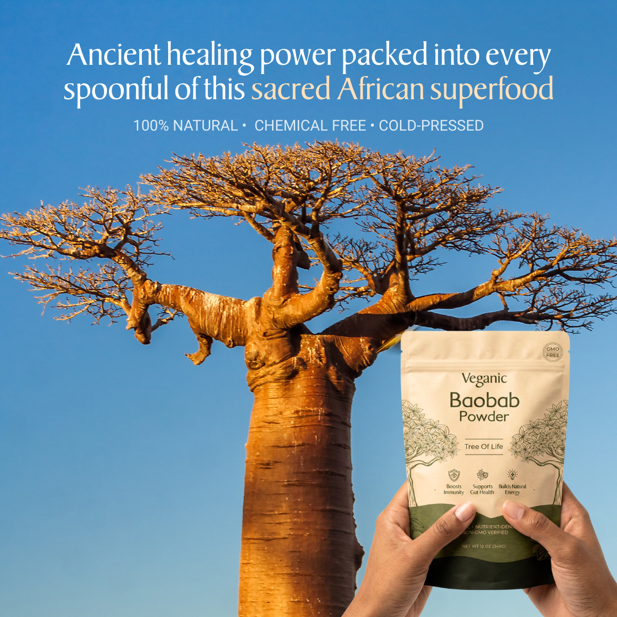 Veganic Baobab Powder