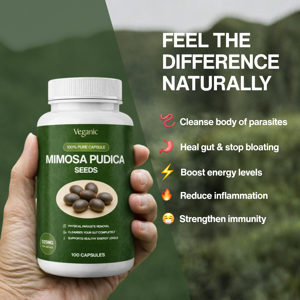 Mimosa Pudica Capsules