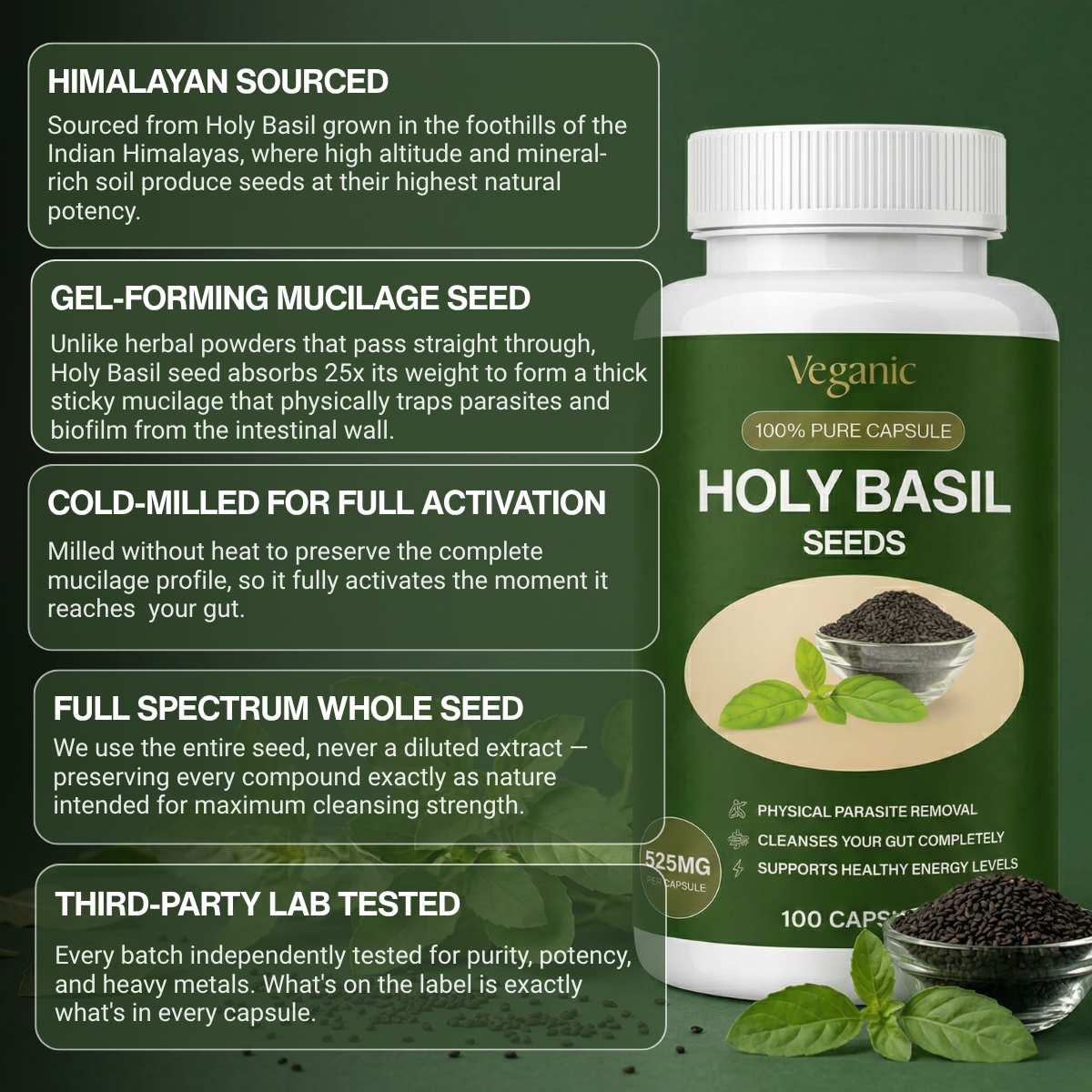 Holy Basil Seed Capsules