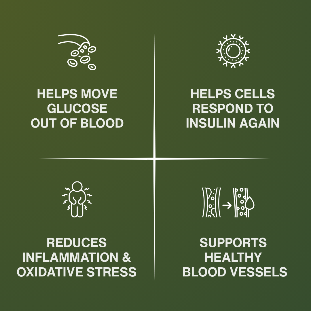 Holy Basil Seed Capsules - Natural Blood Sugar Support